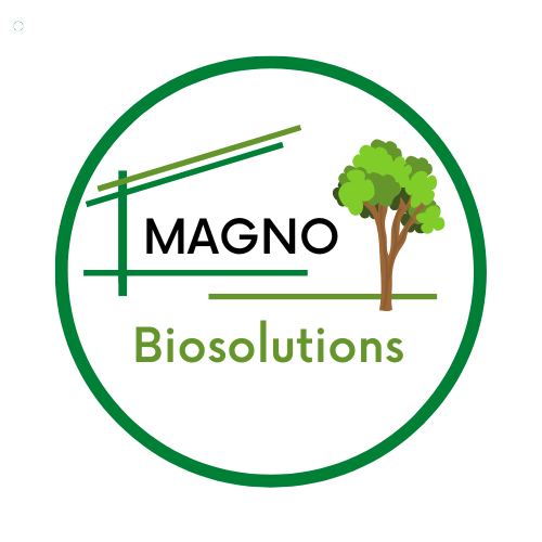 magno-biosoluciones