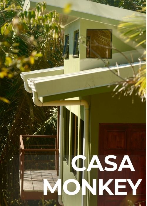 casa-monkey